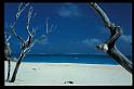 Crane beach